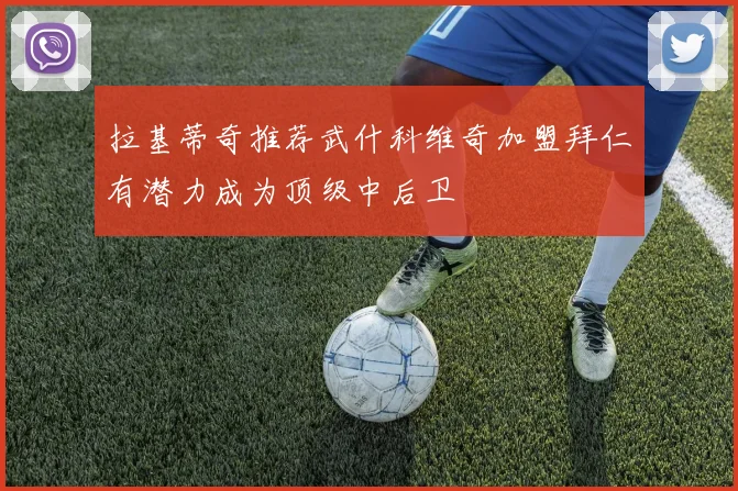 拉基蒂奇推荐武什科维奇加盟拜仁有潜力成为顶级中后卫